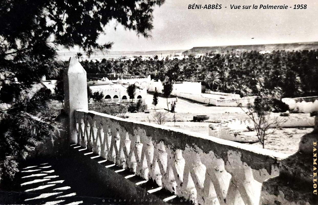 Beni-Abbes - Palmeraie - 1958.jpg